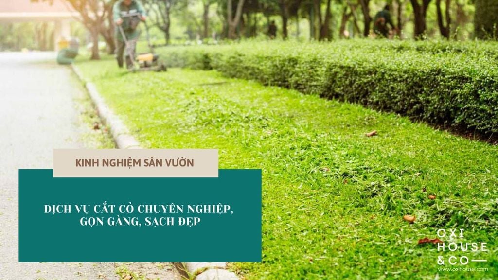 Dịch vụ cắt cỏ chuyên nghiệp, gọn gàng, sạch đẹp