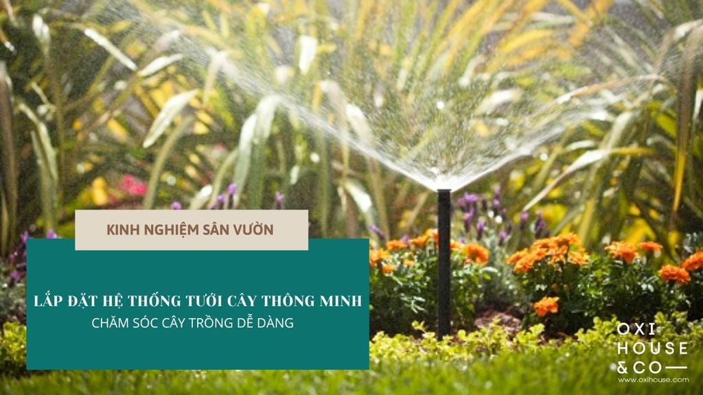 Lắp đặt hệ thống tưới cây thông minh, chăm sóc cây trồng dễ dàng