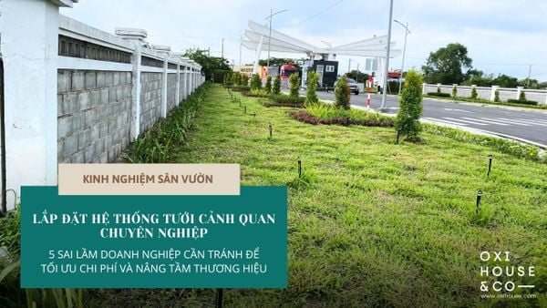 Lắp Đặt Hệ Thống Tưới Cảnh Quan Chuyên Nghiệp: 5 Sai Lầm Doanh Nghiệp Cần Tránh Để Tối Ưu Chi Phí và Nâng Tầm Thương Hiệu