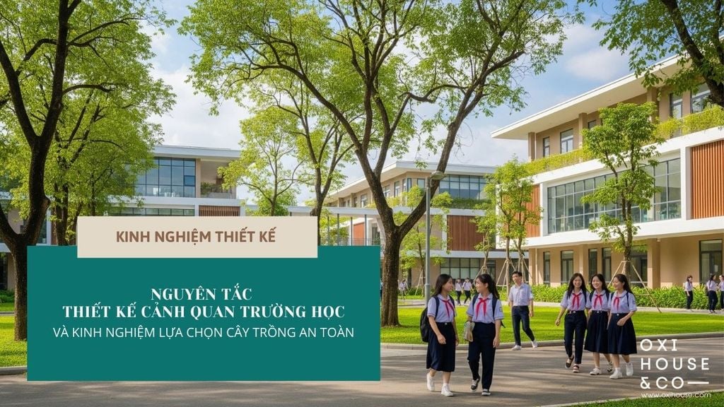 NGUYÊN TẮC THIẾT KẾ CẢNH QUAN TRƯỜNG HỌC VÀ KINH NGHIỆM LỰA CHỌN CÂY TRỒNG AN TOÀN