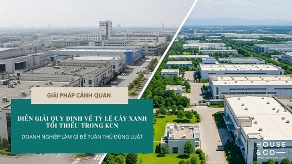 DIỄN GIẢI QUY ĐỊNH VỀ TỶ LỆ CÂY XANH TỐI THIỂU TRONG KCN : DOANH NGHIỆP LÀM GÌ ĐỂ TUÂN THỦ ĐÚNG LUẬT