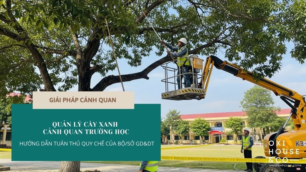QUẢN LÝ CÂY XANH CẢNH QUAN TRƯỜNG HỌC - HƯỚNG DẪN TUÂN THỦ QUY CHẾ CỦA BỘ/SỞ GD&DT