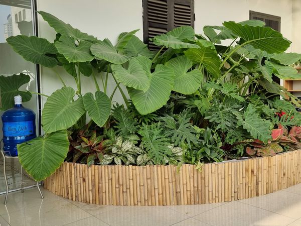 Nhà phố Trần Duy Hưng, HN