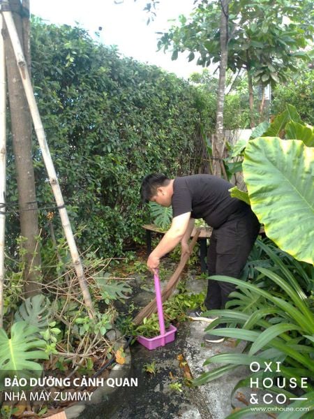 BẢO DƯỠNG CẢNH QUAN NHÀ MÁY