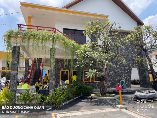 BẢO DƯỠNG CẢNH QUAN NHÀ MÁY