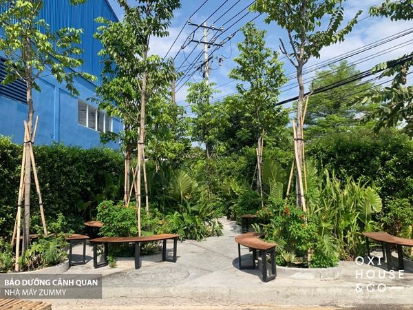 BẢO DƯỠNG CẢNH QUAN NHÀ MÁY