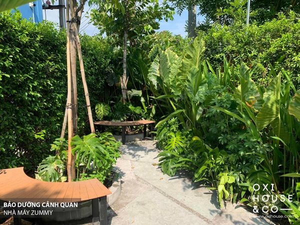 BẢO DƯỠNG CẢNH QUAN NHÀ MÁY