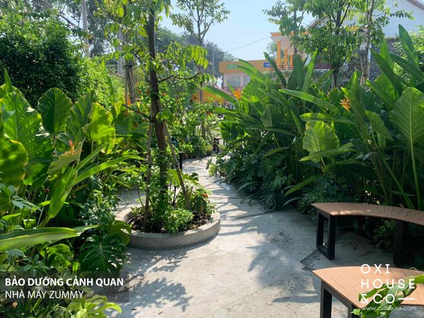 BẢO DƯỠNG CẢNH QUAN NHÀ MÁY