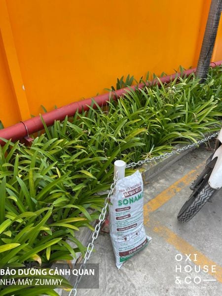 BẢO DƯỠNG CẢNH QUAN NHÀ MÁY