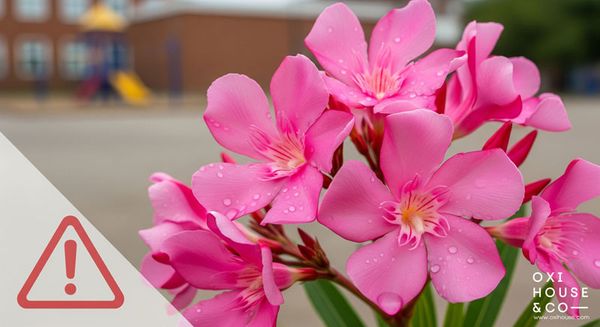 THIẾT KẾ CẢNH QUAN TRƯỜNG HỌC