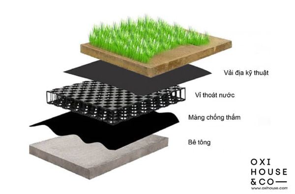 THIẾT KẾ SÂN VƯỜN CHỐNG NGẬP