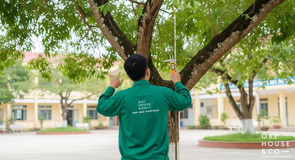 Bảo dưỡng Cảnh quan Trường học