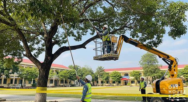 QUẢN LÝ CÂY XANH CẢNH QUAN TRƯỜNG HỌC