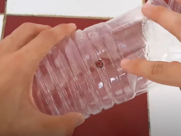 Bẫy chuột tự chế liên hoàn từ chai nhựa