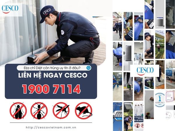 CESCO - Dịch vụ diệt gián tận gốc CESCO TPHCM, HN, Đà Nẵng cam kết 100% an toàn, nhanh chóng và bảo hành 12-24 tháng