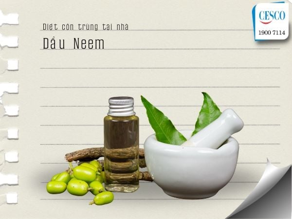 diệt côn trùng tại nhà an toàn hiệu quả bằng dầu neem