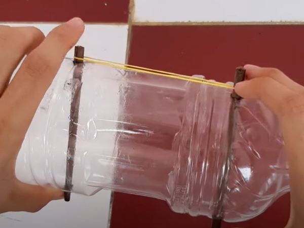Bẫy chuột đơn giản hiệu quả tại nhà từ chai nhựa