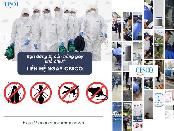 CESCO - Dịch vụ Kiểm soát côn trùng chuyên nghiệp