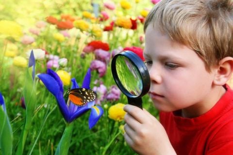 CHA MẸ DẠY GÌ KHI CON LÊN 4 TUỔI ?