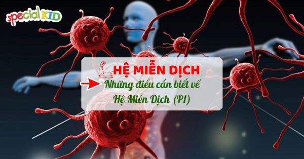Hệ miễn dịch và những điều cần biết về hệ miễn dịch