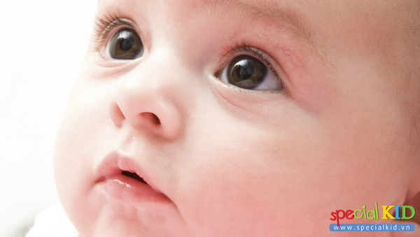 Bảo vệ đôi mắt long lanh cho bé ngay từ những bước đầu tiên cùng với thuốc bổ mắt trẻ em