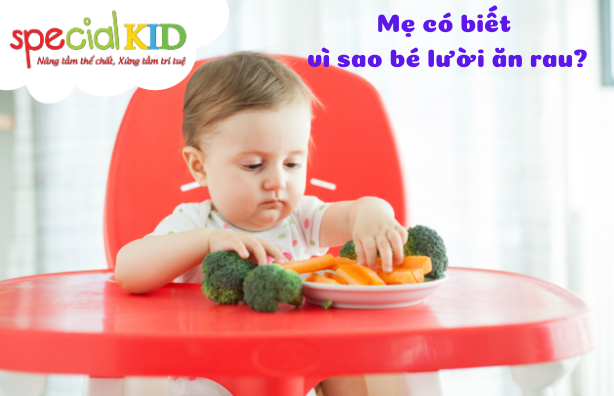 Nguyên nhân khiến bé không ăn rau | Special Kid – Special Kid Việt Nam