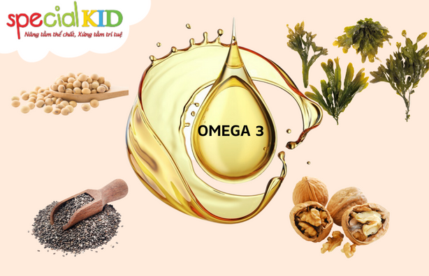 Omega-3 thực vật và những lợi ích đối với sức khoẻ của trẻ.