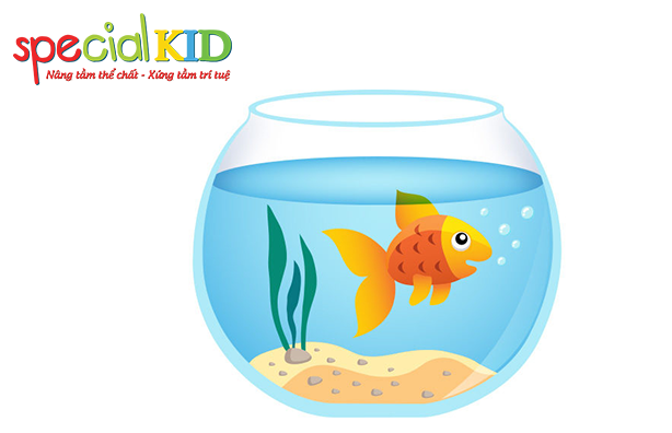 bài hát cá vàng bơi | Special Kid