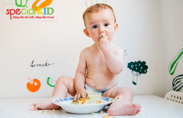Dinh dưỡng rất quan trọng với trẻ trong giai đoạn ăn dặm | Speicla Kid