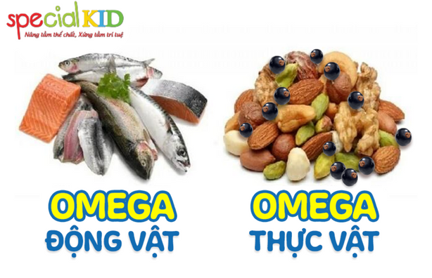 omega-3 thực vật và động vật | special kid