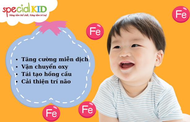 Sắt và vai trò đối với trẻ | Special Kid