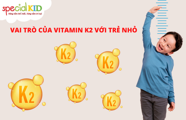 Vai trò của vitamin K2 | Special kid