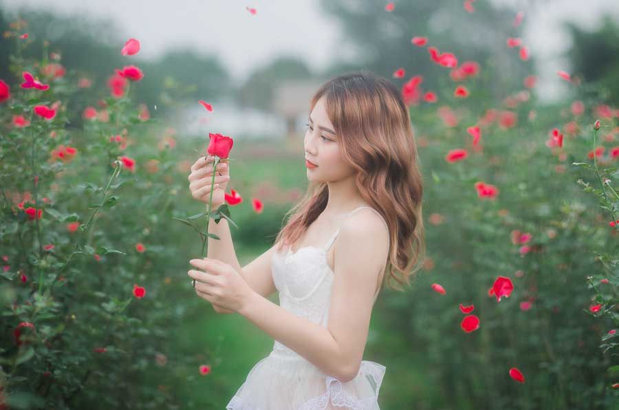 Chia sẻ các cách chụp ảnh với hoa hồng đẹp rạng rỡ – TiTi Decor