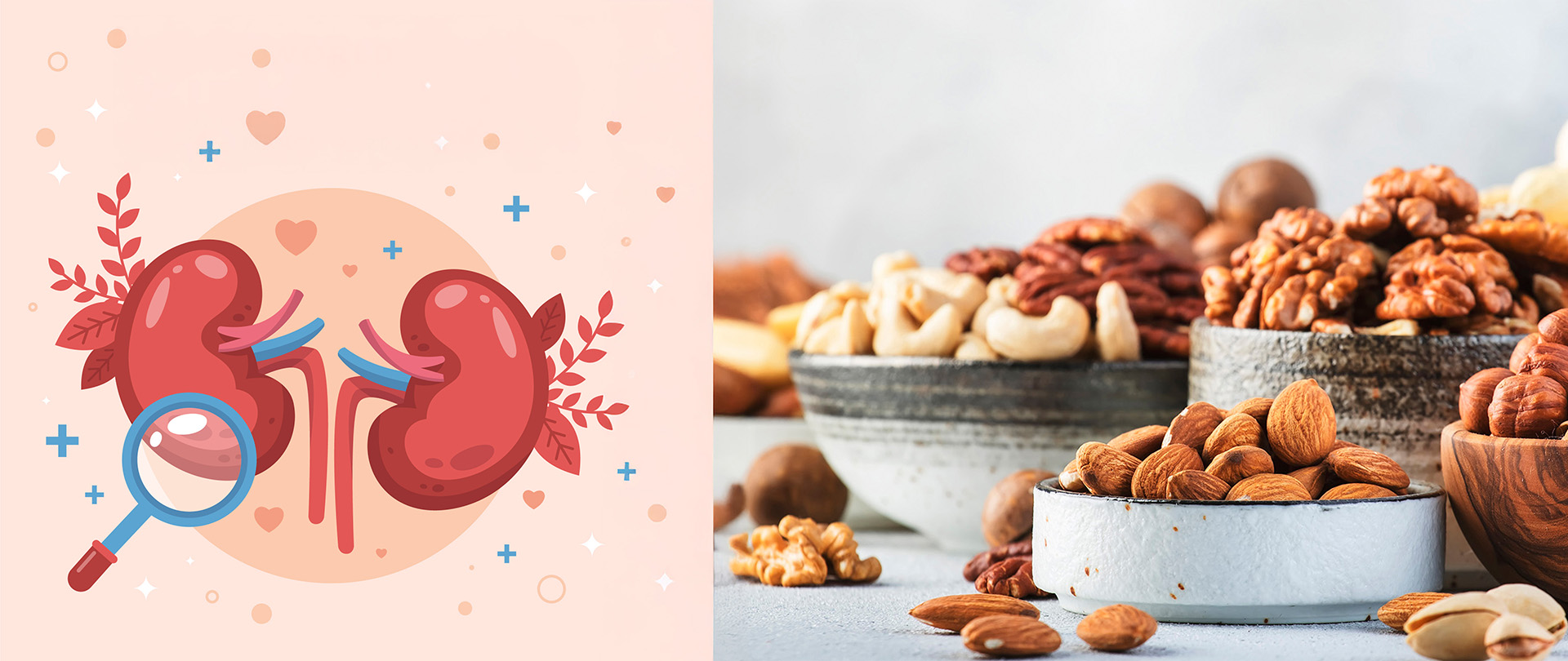 Khám phá công dụng bổ thận từ các loại hạt tự nhiên