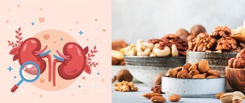 Khám phá công dụng bổ thận từ các loại hạt tự nhiên