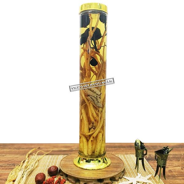 SÂM Ô LINH MỐI CHÚA GIÚP TĂNG CƯỜNG SINH LỰC VÀ CHỐNG LÃO HÓA