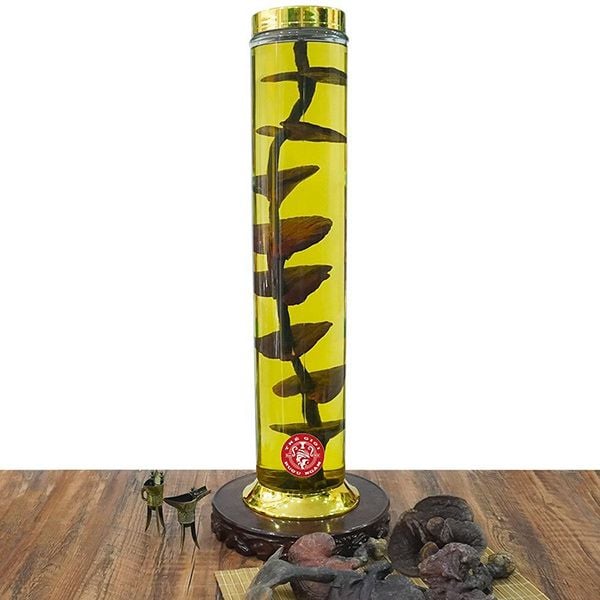 Hình ảnh bình ngâm nấm lim xanh rừng 11 lít tại Thegioiruoungam.com