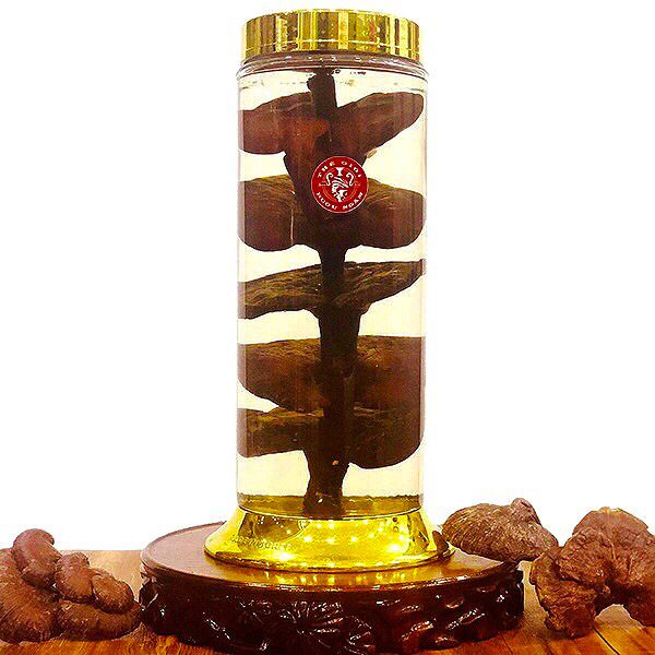 Hình ảnh sản phẩm Bình riệu nấm lim xanh 5,5 lít.