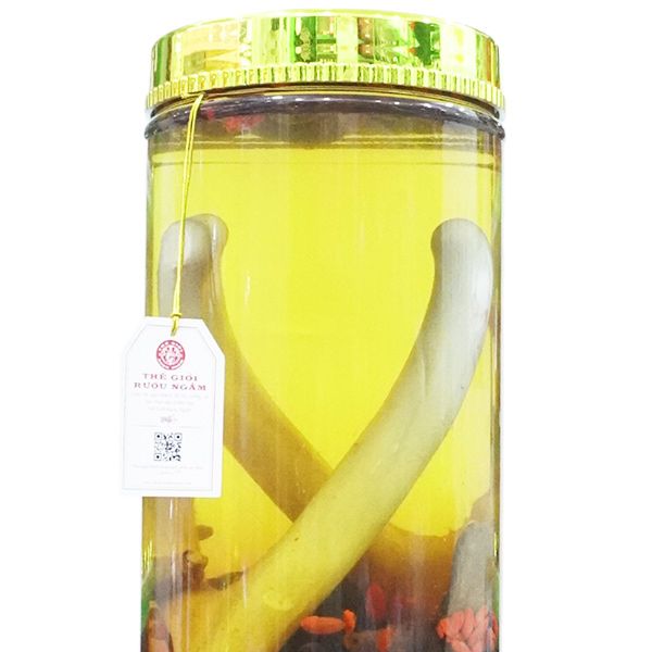 Hình ảnh cận cảnh bình nhung hươu bổ thận 7,8 lít chất lượng tại Thegioiruoungam.com