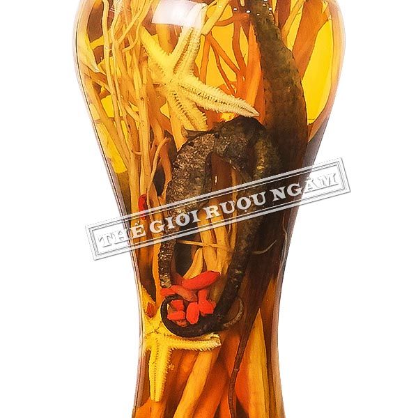Hình ảnh sản phẩm Cận cảnh bình rượu cá ngựa 1 lít tại shop