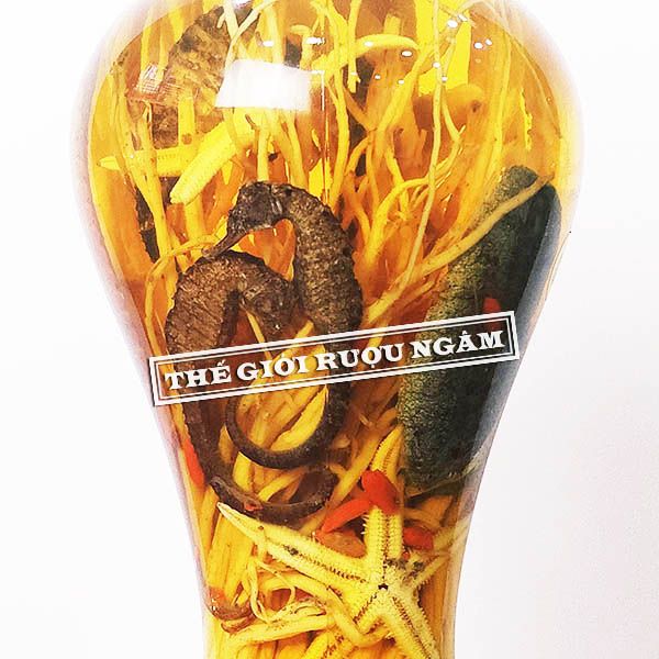 Hình ảnh sản phẩm Cận cảnh bình rượu cá ngựa 2 lít tại shop
