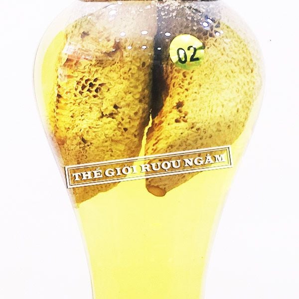 Cận cảnh bình rượu mật ong ruồi nguyên tổ 2 lít