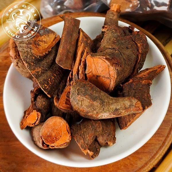 Mú Từn là gì - Những công dụng rễ cây Mú Từn