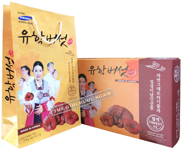 Hình ảnh sản phẩm hộp nấm linh chi vàng thơm Hàn Quốc hình cô gái loại 1kg.