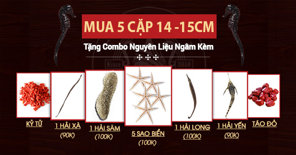 Quà tặng khi mua 5 cặp cá ngựa sống 14-15cm