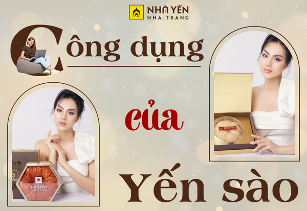 13 CÔNG DỤNG CỦA YẾN SÀO