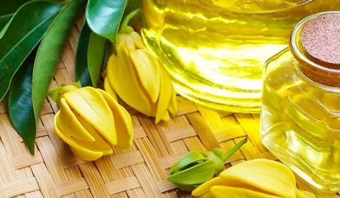 Lợi ích và ứng dụng của tinh dầu ngọc lan tây trong cuộc sống hàng ngày