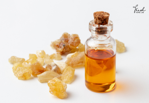 Tinh dầu hương trầm (Frankincense) & các công dụng tuyệt vời
