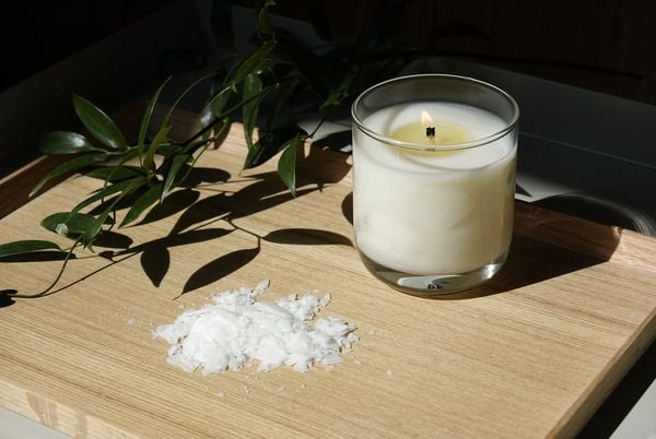 Sáp Cọ (Palm Wax) Và Ứng Dụng Trong Sản Xuất Nến Thơm