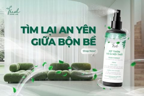 Tìm lại an yên giữa bộn bề cùng xịt thơm phòng tinh dầu thiên nhiên